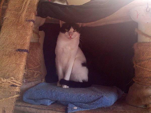 2014-01-18 10.39.16.jpg