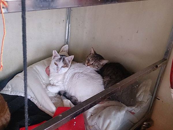 2014-01-18 10.39.33.jpg