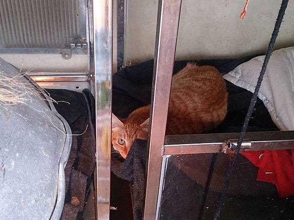 2014-01-18 10.39.40.jpg