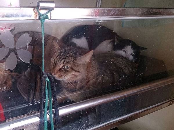 2014-01-18 10.39.47.jpg