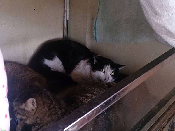 2014-01-18 10.39.52.jpg