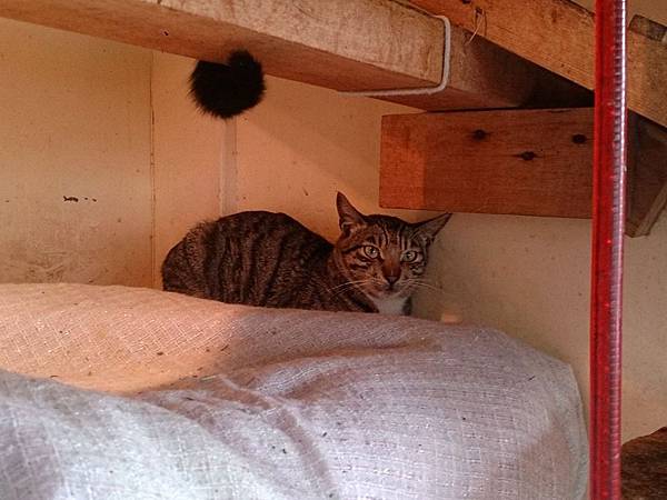 2014-01-18 10.39.55.jpg