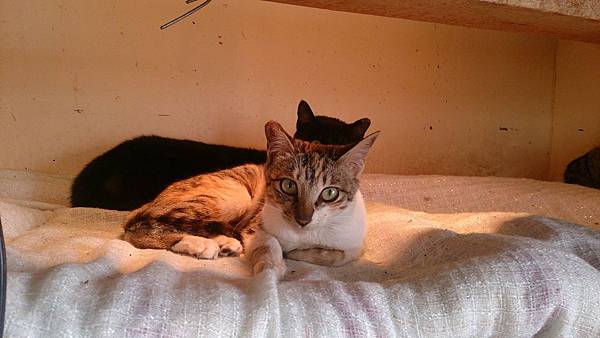 2014-01-18 10.39.57.jpg