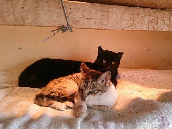 2014-01-18 10.40.00.jpg