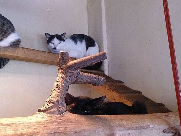 2014-01-18 10.40.05.jpg