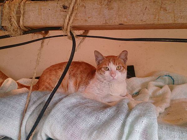 2014-01-18 10.40.13.jpg