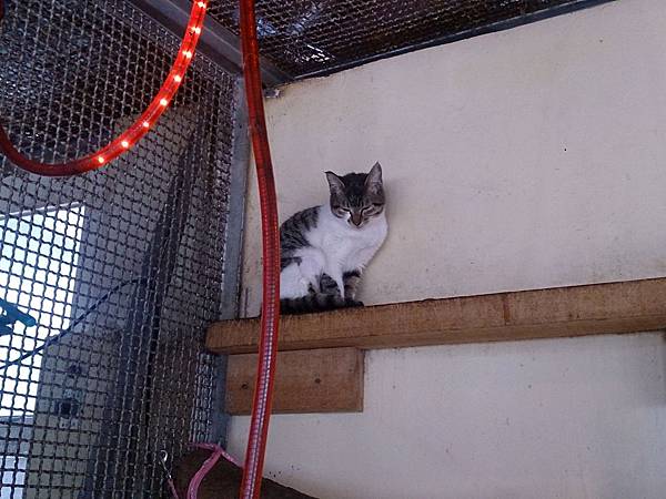 2014-01-18 10.40.25.jpg