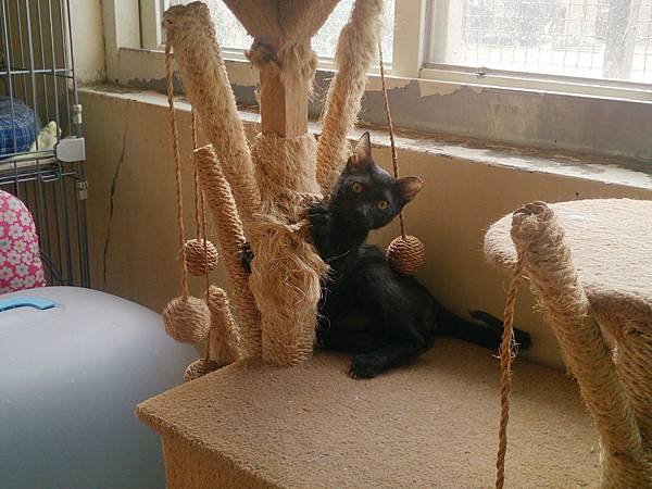 2014-01-18 10.43.02.jpg