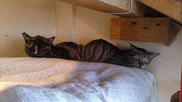 2014-01-18 12.20.16.jpg