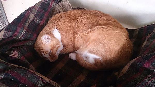 2014-01-18 12.20.36.jpg