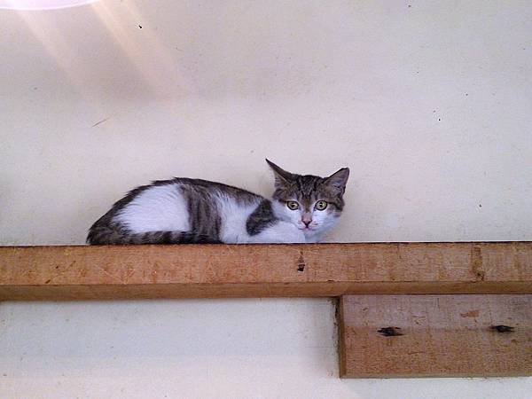 2014-01-18 12.20.47.jpg