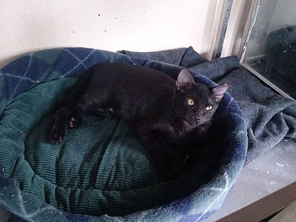 2014-01-18 12.21.49.jpg