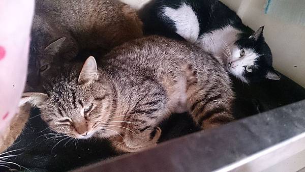 2014-01-18 12.23.03.jpg