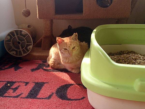 2014-01-18 12.24.29.jpg