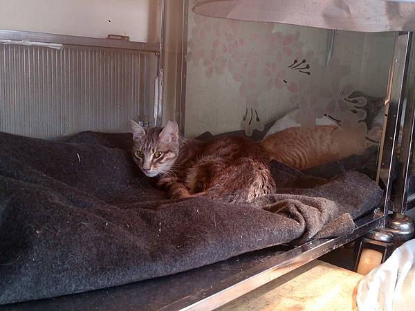 2014-01-18 12.24.48.jpg