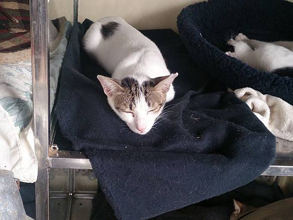 2014-01-18 12.25.01.jpg