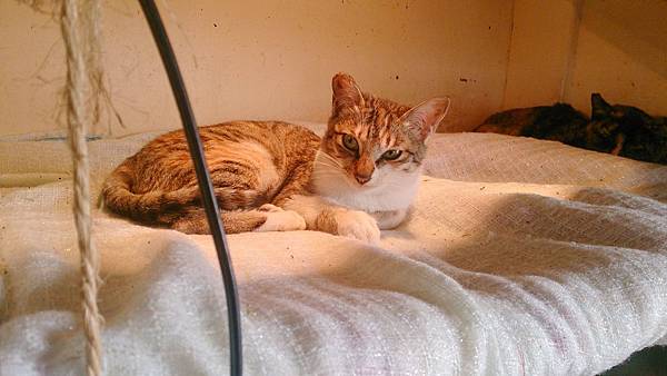 2014-01-18 14.12.39.jpg