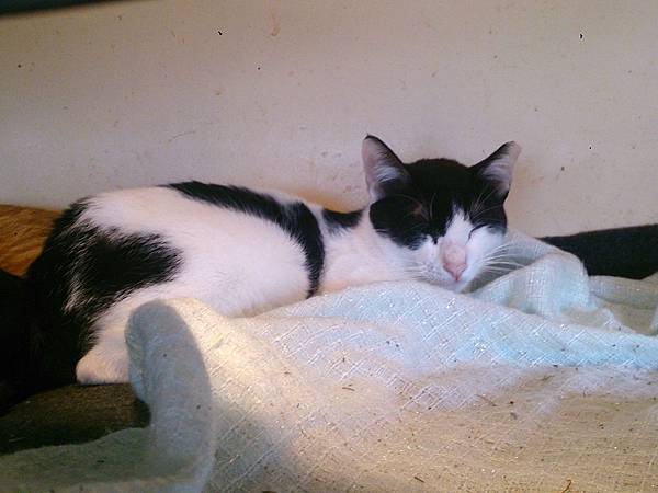 2014-01-18 14.14.22.jpg