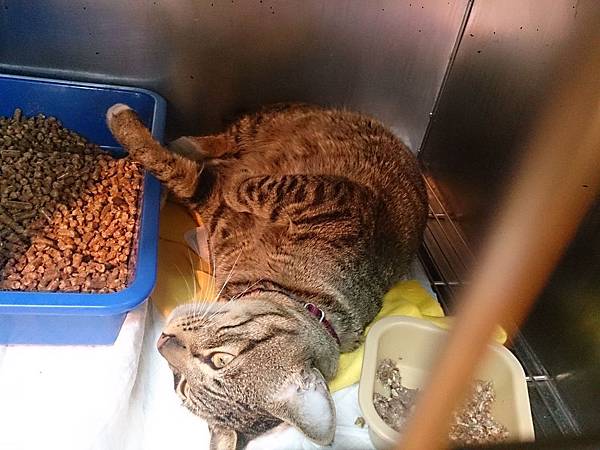 2014-01-18 12.29.57.jpg