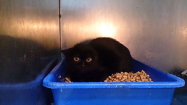 2014-01-25 10.33.08.jpg