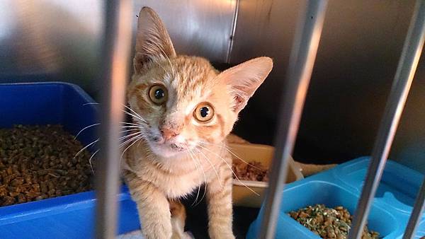 2014-01-25 10.34.24.jpg