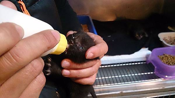 2014-01-25 10.35.57.jpg