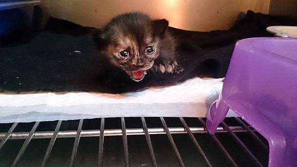 2014-01-25 10.36.07.jpg