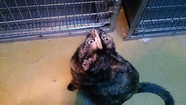 2014-01-25 10.38.30.jpg