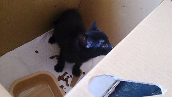 2014-01-25 13.54.58.jpg