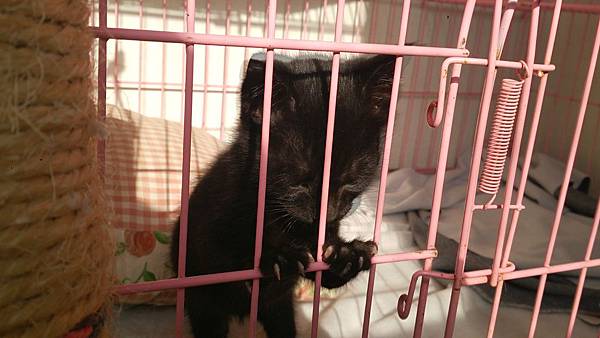 2014-01-25 14.57.05.jpg