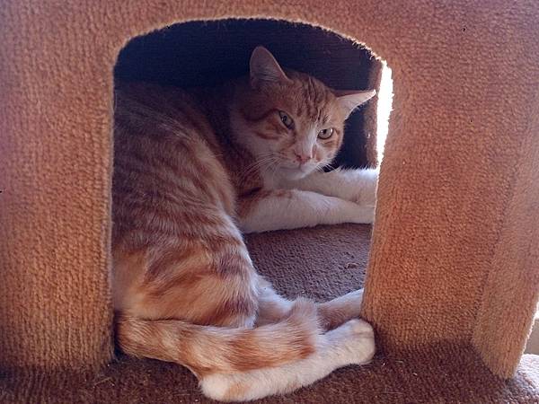 2014-01-25 10.40.53.jpg