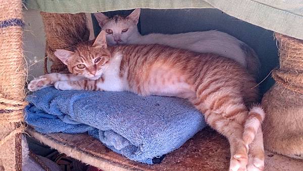 2014-01-25 10.41.28.jpg