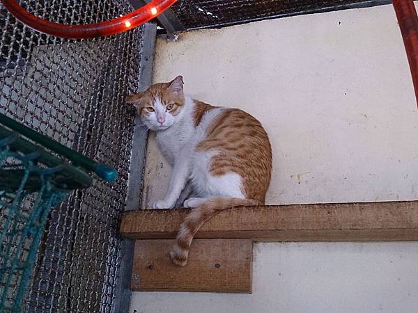 2014-01-25 10.44.01.jpg