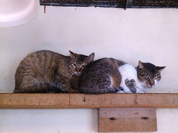 2014-01-25 10.44.13.jpg