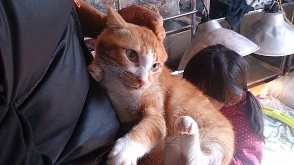 2014-01-25 10.49.54.jpg