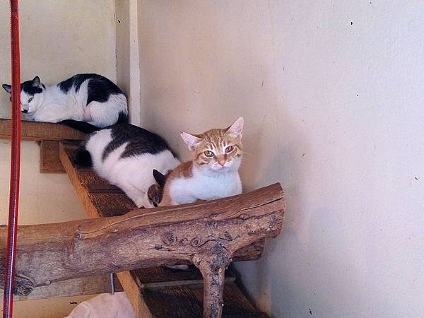 2014-01-25 10.54.07.jpg