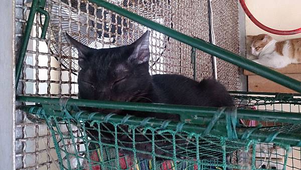 2014-01-25 10.55.09.jpg