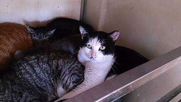 2014-01-25 11.18.11.jpg