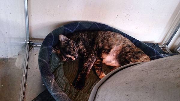 2014-01-25 13.08.47.jpg