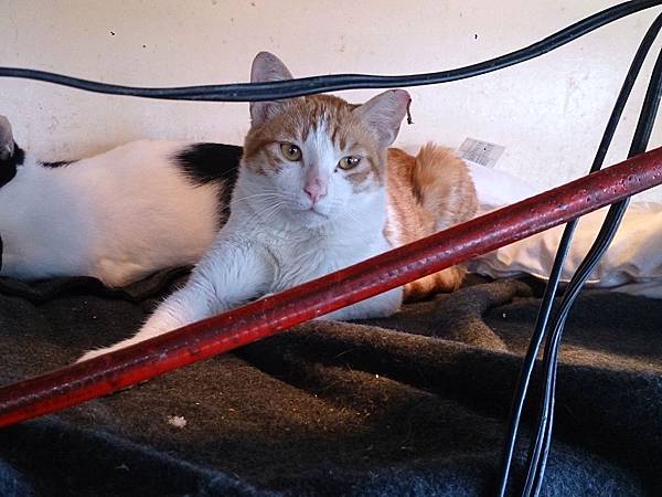 2014-01-25 13.08.55.jpg