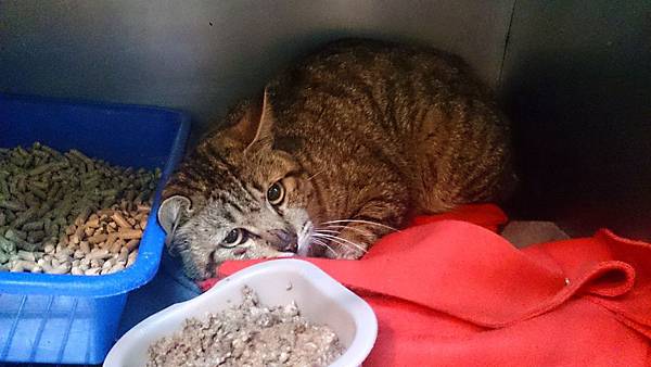 2014-02-08 11.11.49.jpg