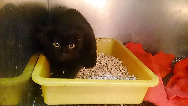 2014-02-08 11.11.58.jpg