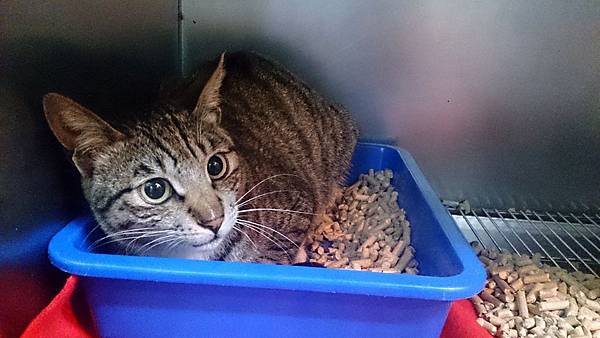 2014-02-08 11.12.09.jpg