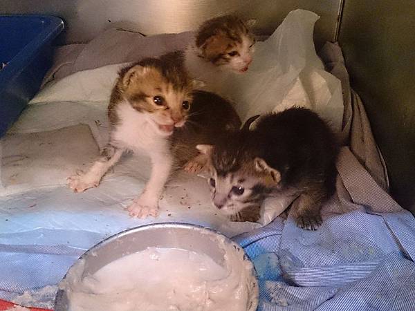 2014-02-08 11.55.22.jpg