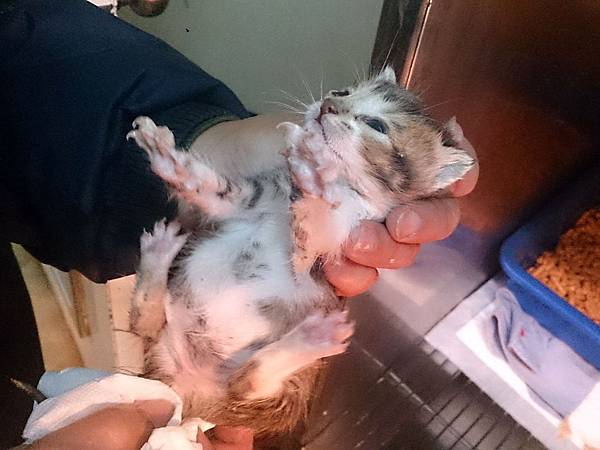 2014-02-08 12.05.19.jpg