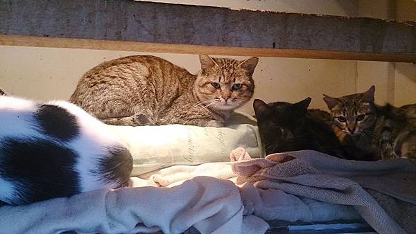 2014-02-08 11.13.06.jpg