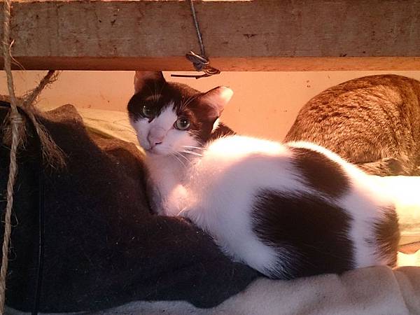 2014-02-08 11.13.10.jpg