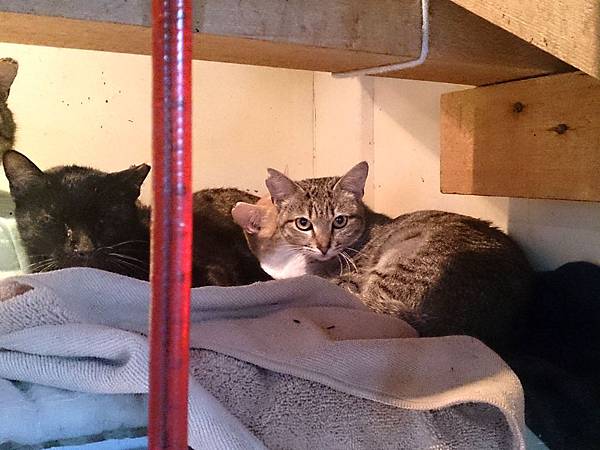 2014-02-08 11.13.13.jpg