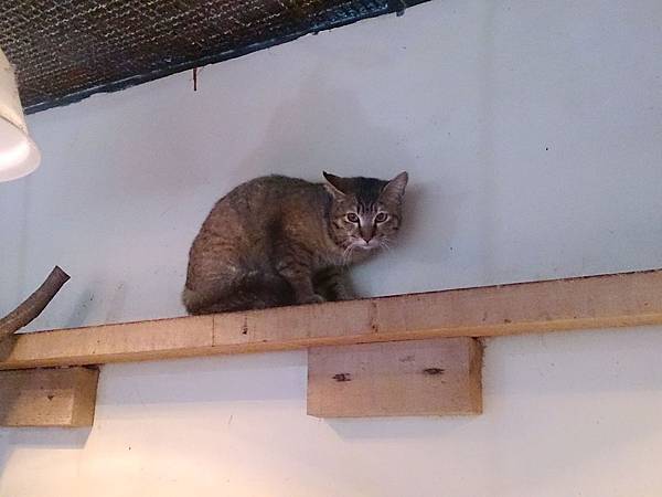 2014-02-08 11.13.35.jpg