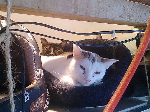 2014-02-08 11.15.33.jpg